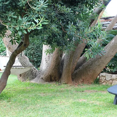 Holiday home Terra Di Mare Loc. Turistica *
